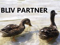 Bliv partner