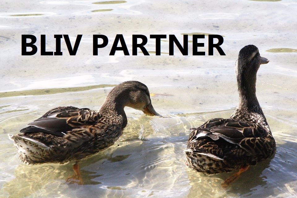 Bliv partner